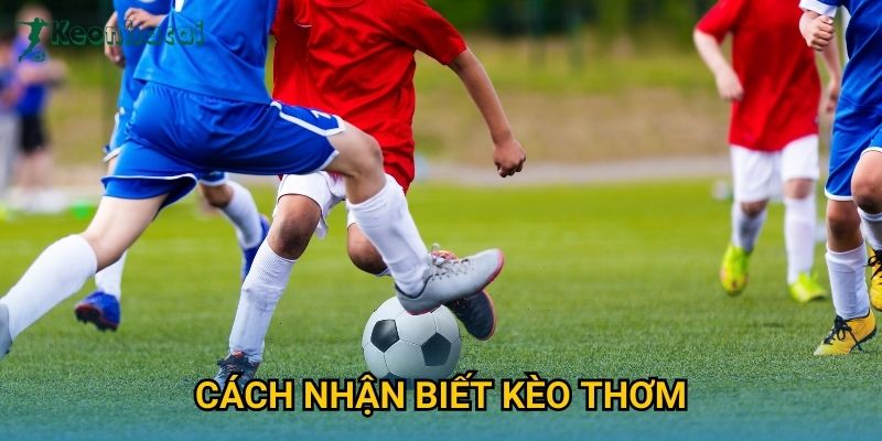Cách nhận biết kèo thơm Keonhacai – Mẹo soi kèo an toàn và hiệu quả 9 Cách nhận biết kèo thơm Keonhacai – Mẹo soi kèo an toàn và hiệu quả